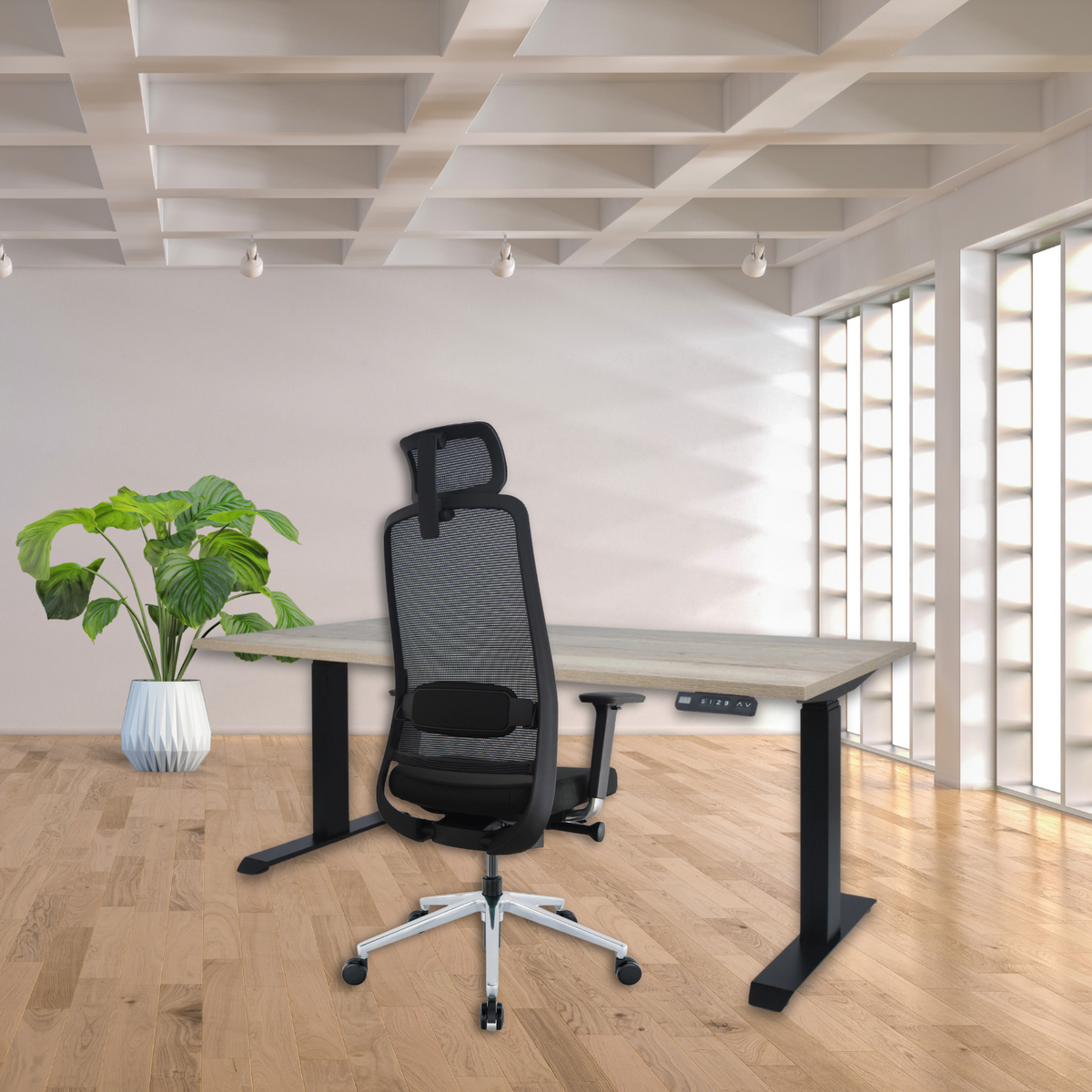 RMOffice-Set | RM2 Schreibtisch höhenverstellbar + Bürostuhl Mila 2.0